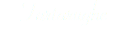 Tartarughe