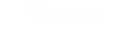 Schiacciata