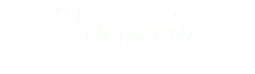 Focaccia